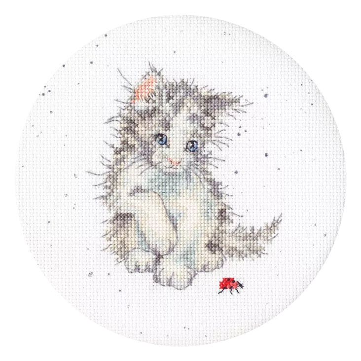 Ladybird - Bothy Threads Cross Stitch Kit XHD118P