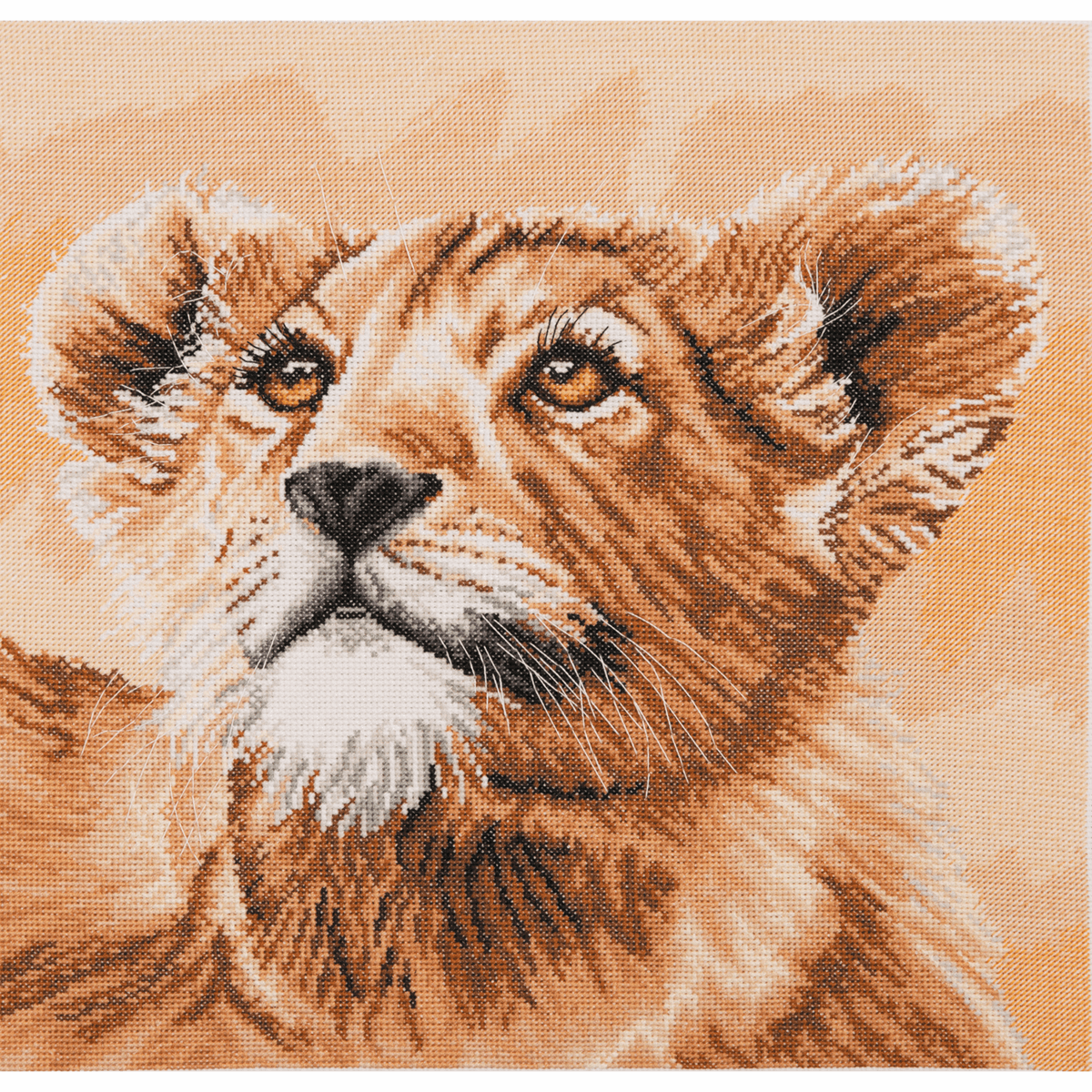 Little Princess  Lion Cub - Anchor Cross Stitch Kit 5678000\5046