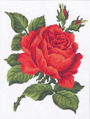 Red Rose - Collection d'Art Tapestry Kit CD3146K -|