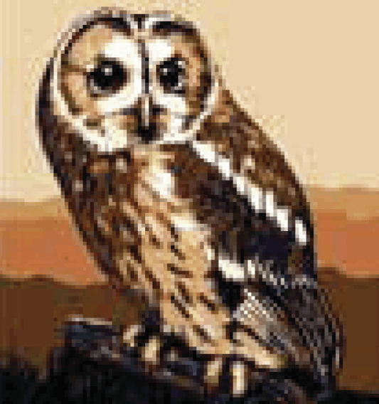 Brown Owl - Collection d'Art Tapestry Kit CD4006K