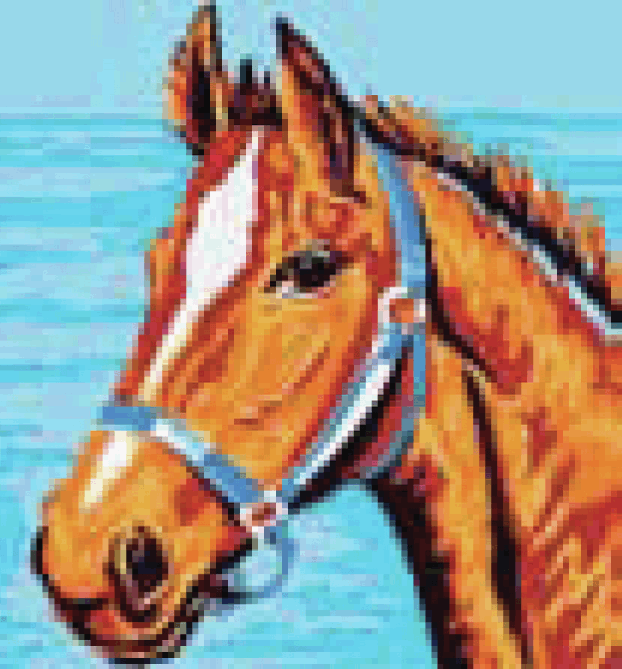 Horse's Head - Collection d'Art Tapestry Kit CD4012K