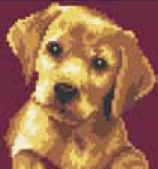 Labrador Puppy - Collection d'Art Tapestry Kit CD4019K