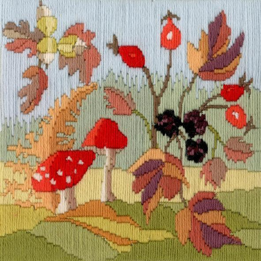 Long Stitch Seasons: Autumn -  Derwentwater Designs Long Stitch Kit  LSS03