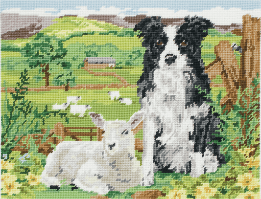 Border Collie & Lamb -  Anchor Tapestry Kit MR7004