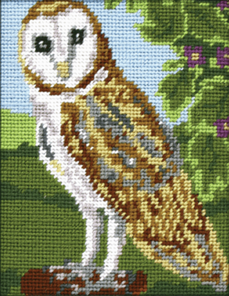 Owl -  Anchor Starter Tapestry Kit MR925