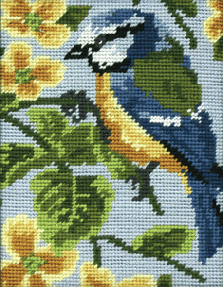 Blue Tit -  Anchor Tapestry Kit: Starter Level MR928