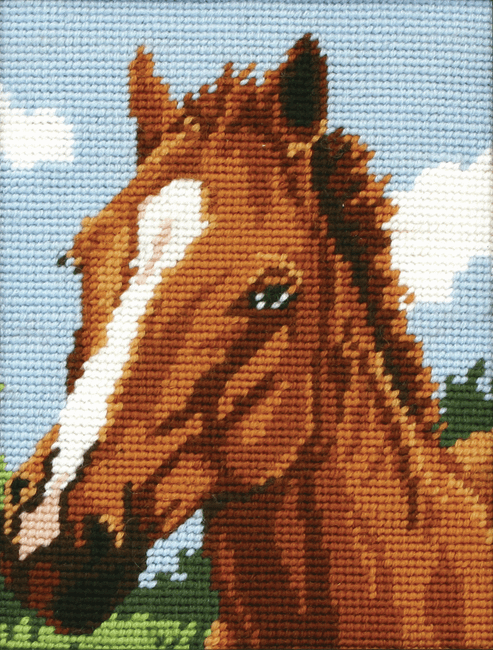 Brown Horse -  Anchor Tapestry Kit: Starter Level MR929