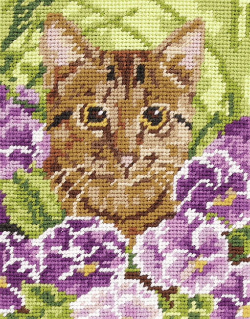 Cat -  Anchor Tapestry Kit: Starter Level MR933