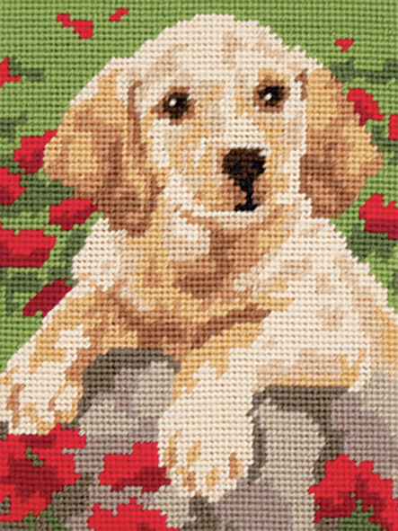 Labrador Puppy Dog-  Anchor Tapestry Kit: Starter Level MR941