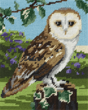 Owl -  Anchor Tapestry Kit: Starter Level MR951