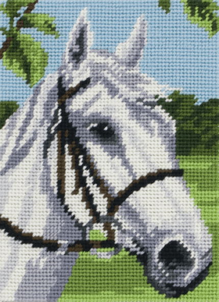 White Horse -  Anchor Tapestry Kit: Starter Level MR958