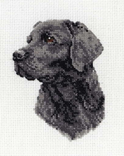 Black Labrador - Anchor Cross Stitch Kit PCE218