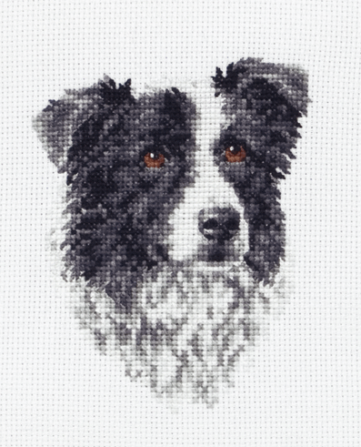 Border Collie - Anchor Cross Stitch Kit PCE219