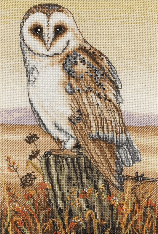 Owl Horizon - Anchor Cross Stitch Kit PCE604