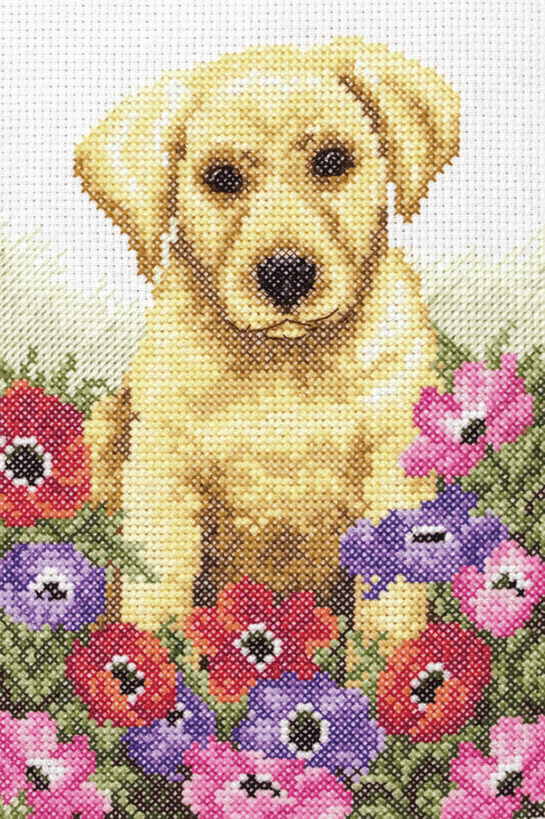 Puppy  - Anchor Cross Stitch Kit PCE759