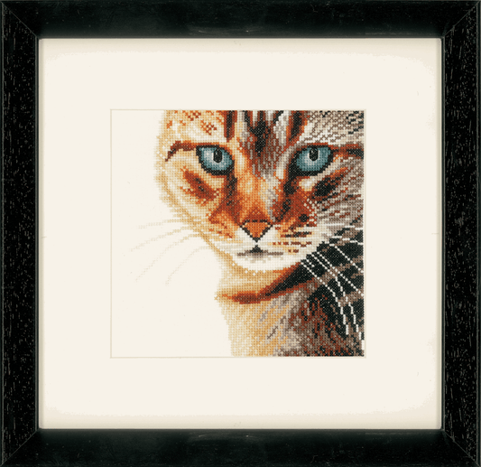 Cat in Close-Up (Evenweave) - Lanarte Cross Stitch Kit PN-0021202