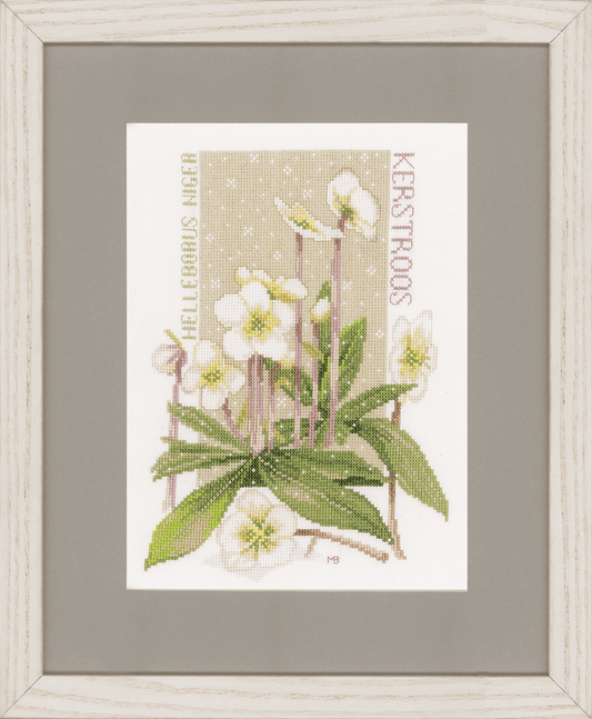 Pure White (Aida) - Lanarte Cross Stitch Kit PN-0146538