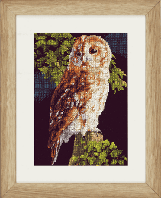 Owl (Aida,B) - Lanarte Cross Stitch Kit PN-0146814