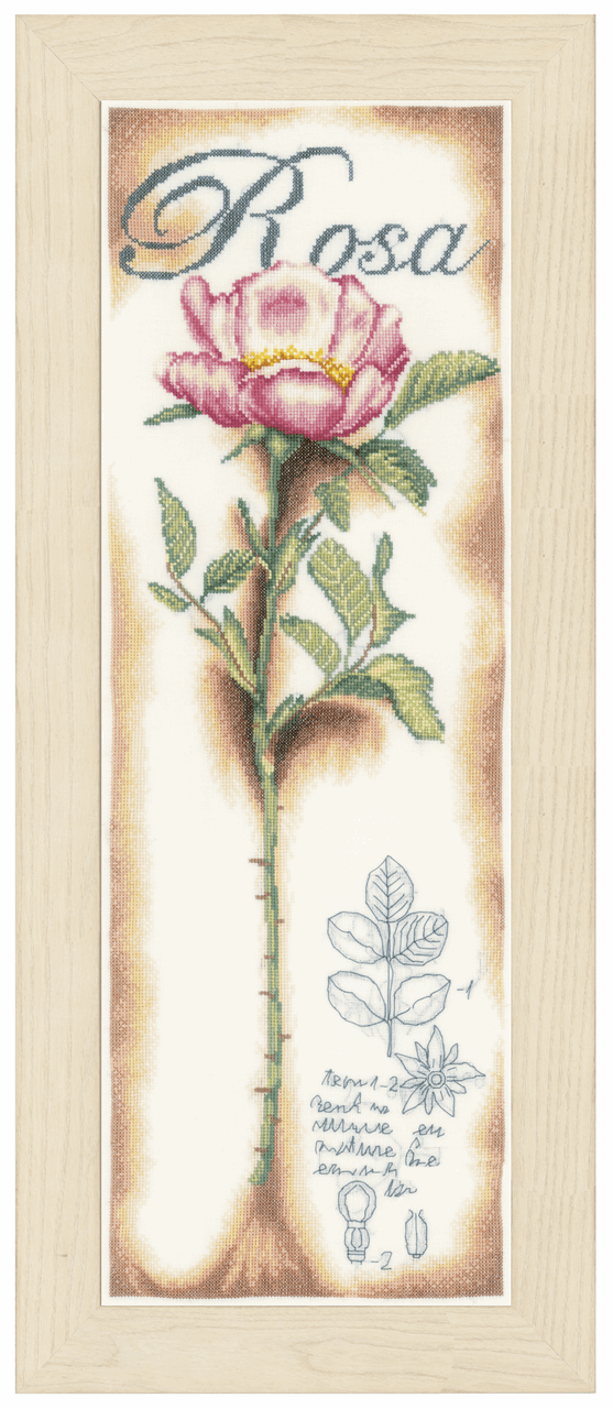 Pink Rose (Linen) - Lanarte Cross Stitch Kit PN-0154334