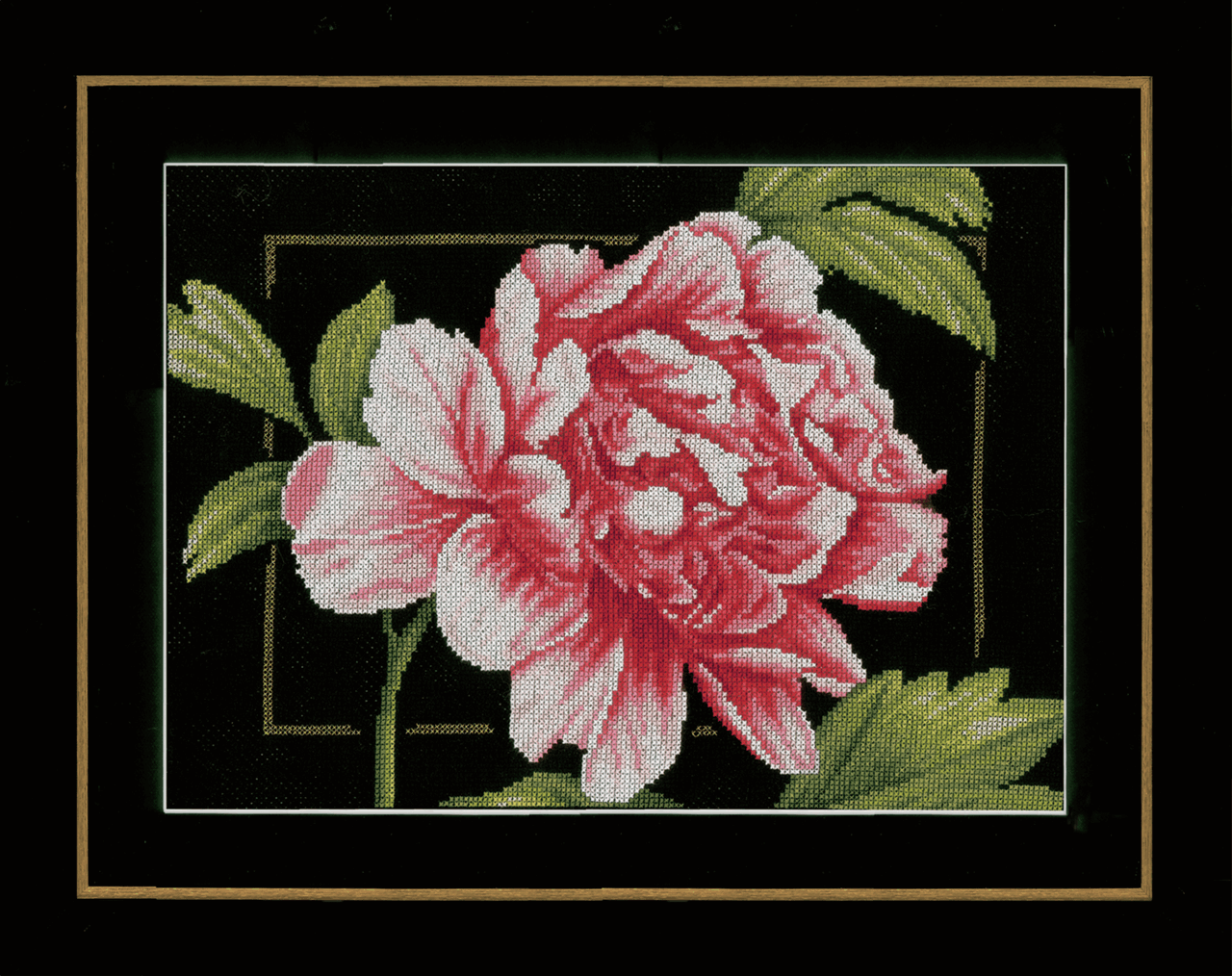 Pink Rose (Aida) - Lanarte Cross Stitch Kit PN-0155749