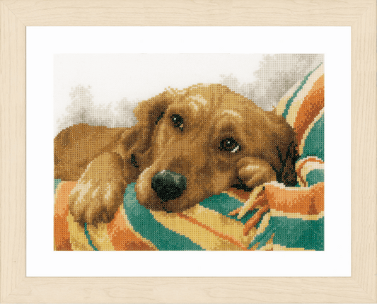 Little Rascal - Lanarte Cross Stitch Kit PN-0157432