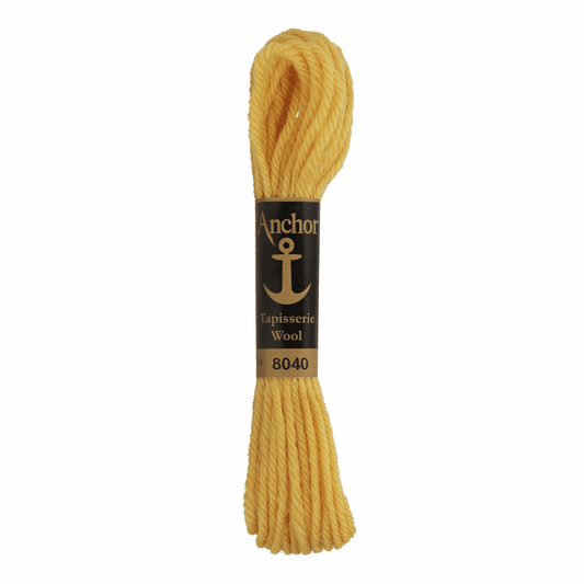 Anchor Tapestry Wool - Shade 8040 - 10m