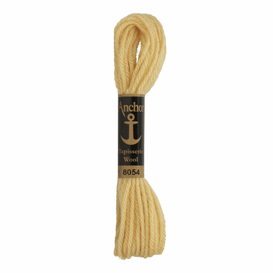 Anchor Tapestry Wool - Shade 8054 - 10m