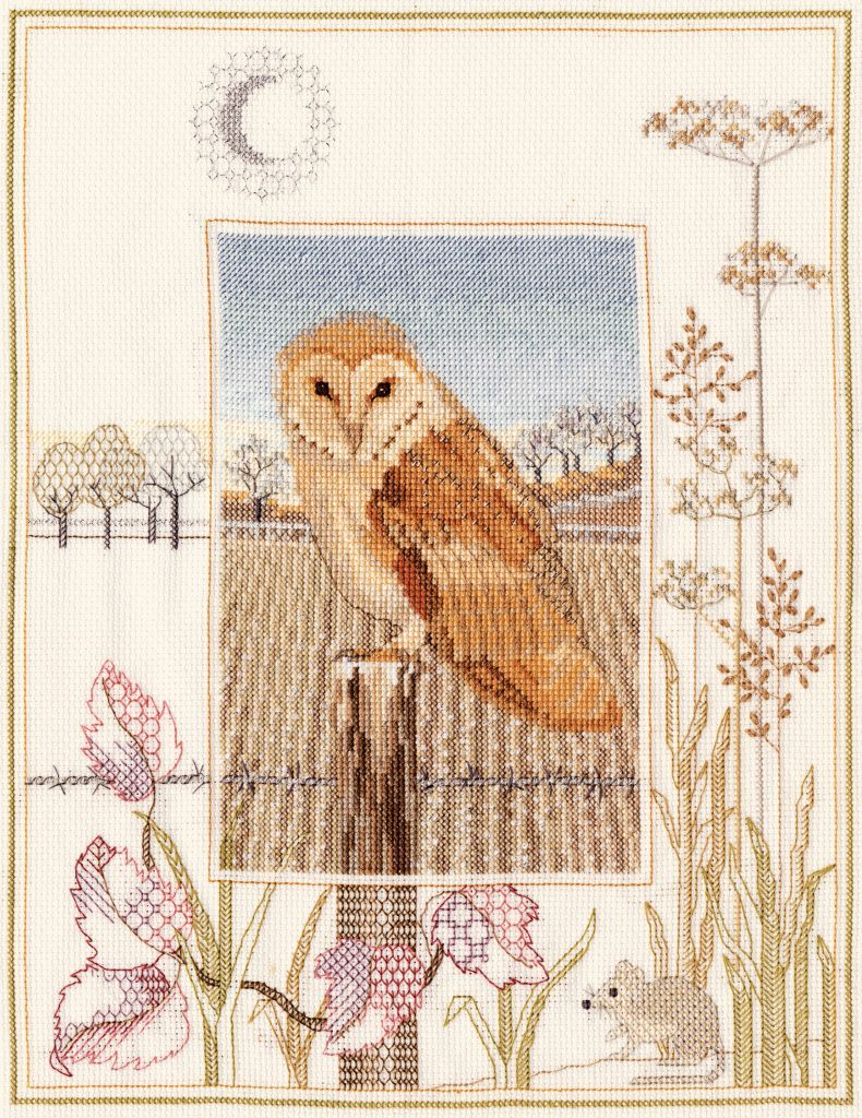 Wildlife - Barn Owl - Derwentwater Designs Cross Stitch Kit  DWWIL3