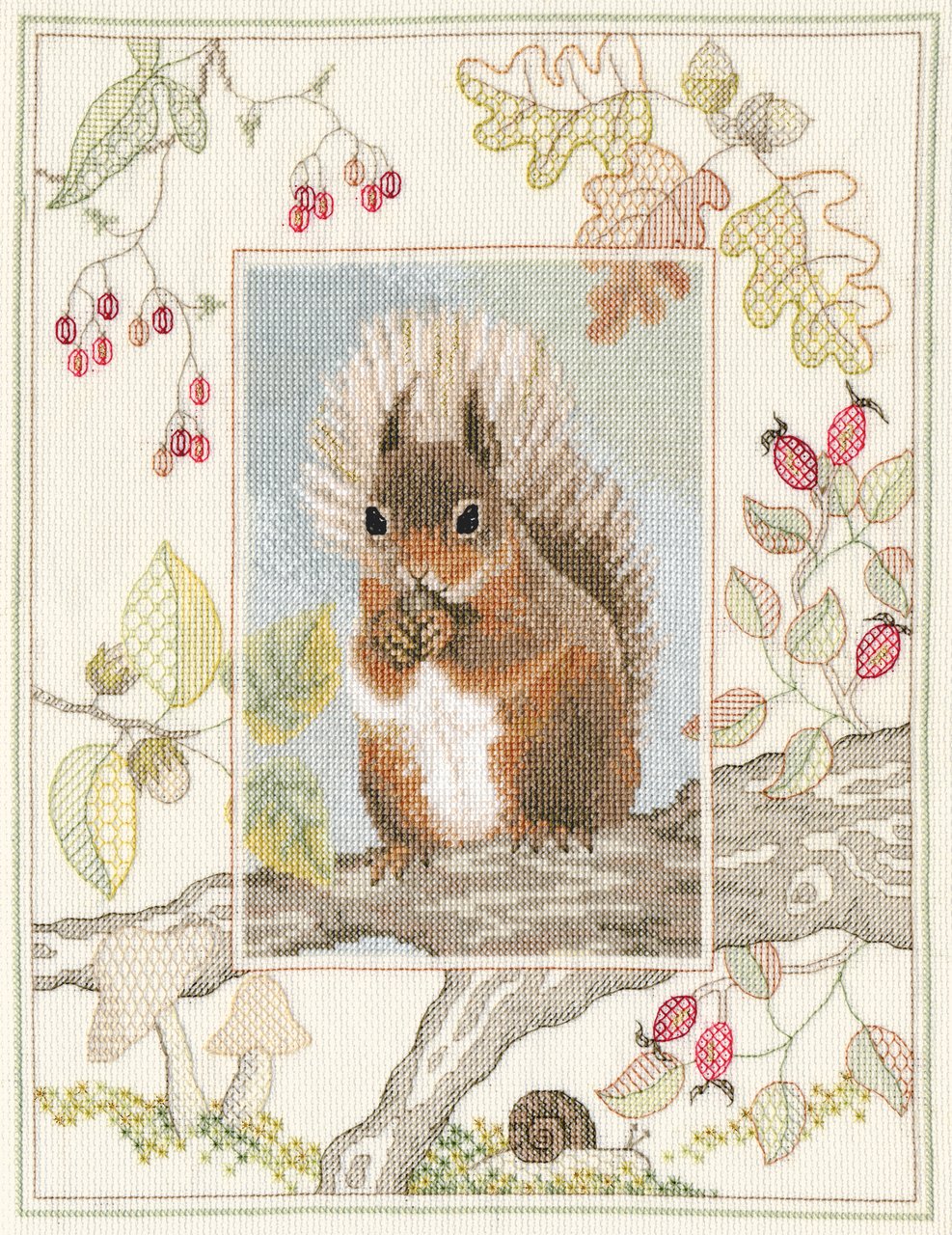 Wildlife -Red Squirrel - Derwentwater Designs Cross Stitch Kit  DWWIL4