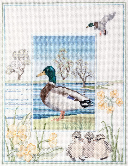 Wildlife - Mallard - Derwentwater Designs Cross Stitch Kit  DWWIL8