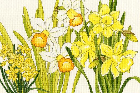 Daffodil Blooms - Bothy Threads Cross Stitch Kit XBD10