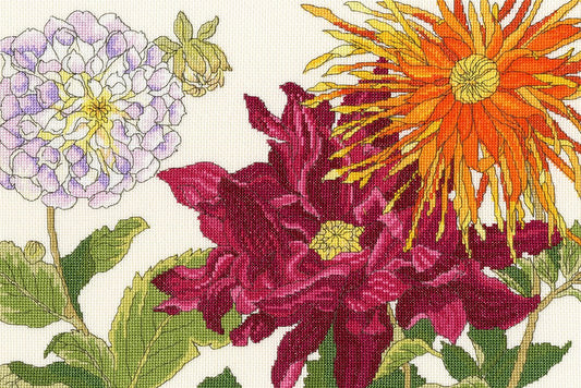 Dahlia Blooms - Bothy Threads Cross Stitch Kit XBD11