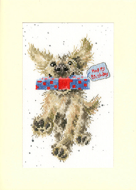 Greeting Card – Special Delivery - Bothy Threads Cross Stitch Kit XGC31