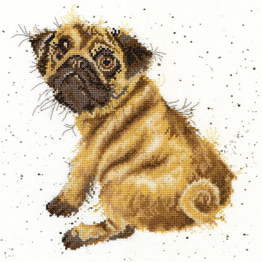 Pug - Bothy Threads Cross Stitch Kit XHD11