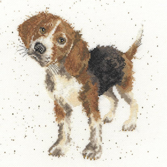 Beagle  - Bothy Threads Cross Stitch Kit XHD12