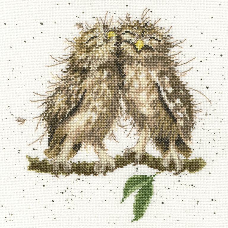 Birds of a Feather - Bothy Threads Cross Stitch Kit XHD36
