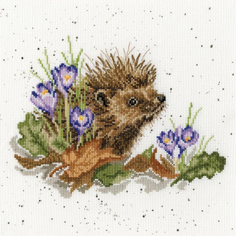 New Beginnings - Hedgehog - Bothy Threads Cross Stitch Kit XHD51