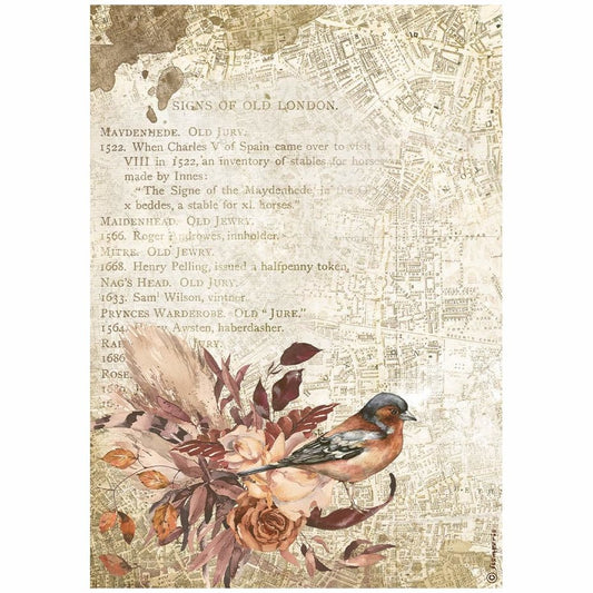 Stamperia Rice Paper A4 Our Way Bird (DFSA4713)