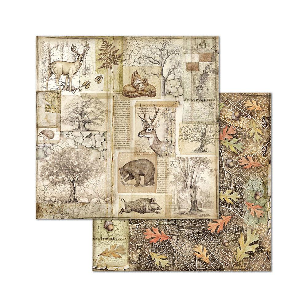 Stamperia Forest 8x8 Inch Paper Pack (SBBS06) for Scrapbooking