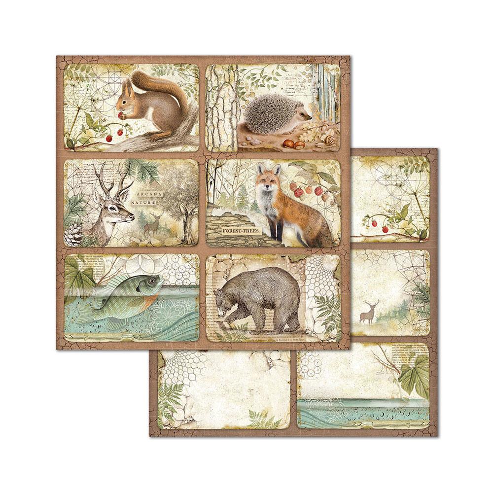 Stamperia Forest 8x8 Inch Paper Pack (SBBS06) for Scrapbooking