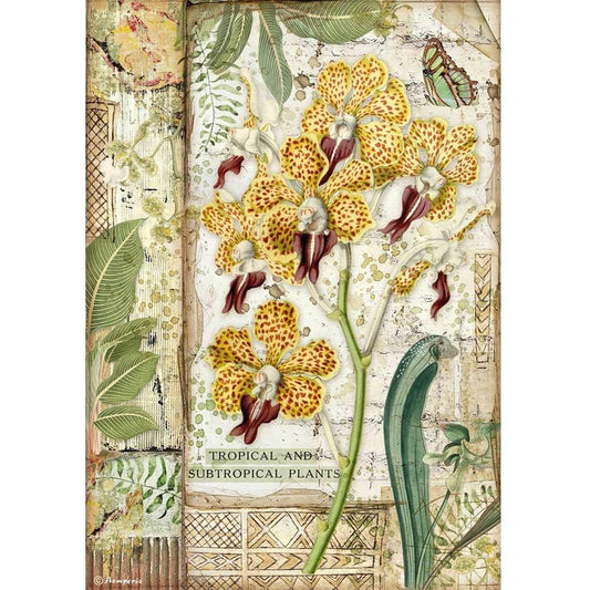 Stamperia Rice Paper A4 Amazonia Orchid (DFSA4532)