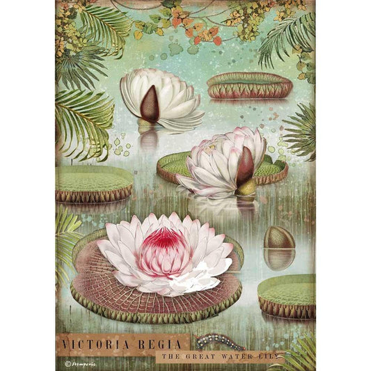 Stamperia Rice Paper A4 Amazonia Water Lily (DFSA4529)